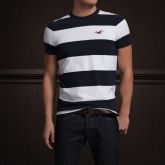 Camisa Hollister