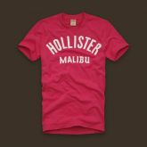 Camisa Hollister